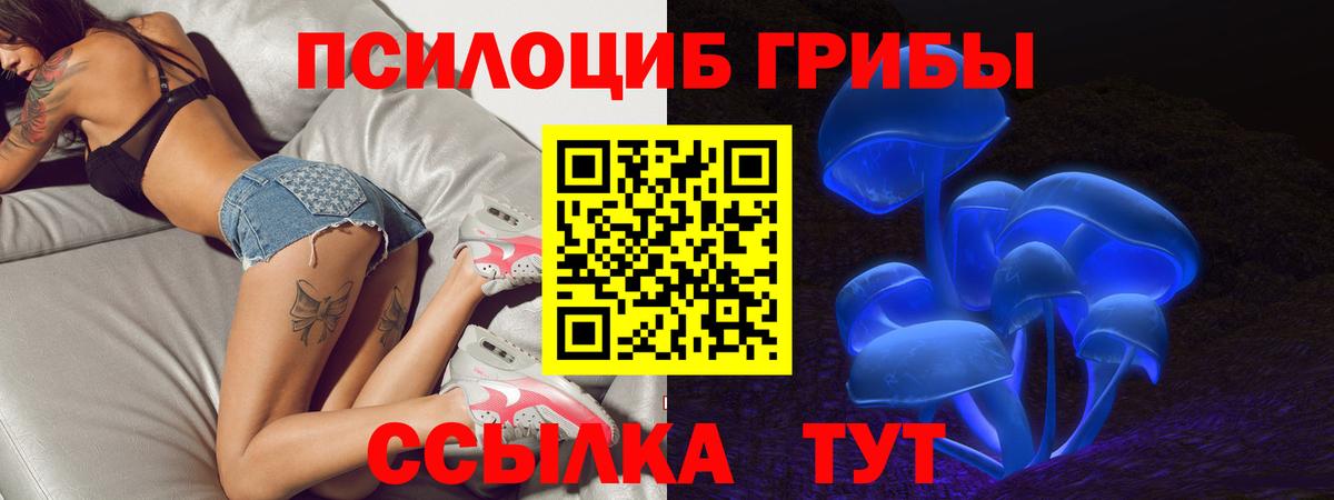 Галлюциногенные грибы Psilocybine cubensis  купить наркотики цена  Каменск-Уральский  Вход с VPN 